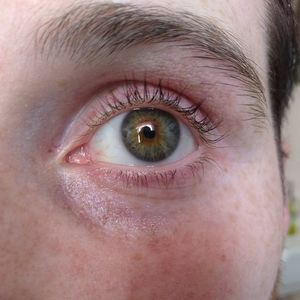 Meet your Posher, Chase